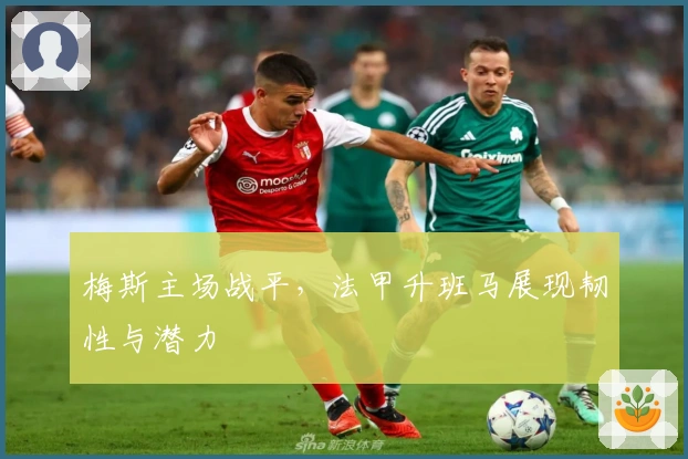 梅斯主场战平，法甲升班马展现韧性与潜力